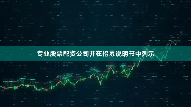 专业股票配资公司并在招募说明书中列示