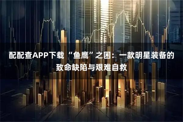 配配查APP下载 “鱼鹰”之困：一款明星装备的致命缺陷与艰难自救